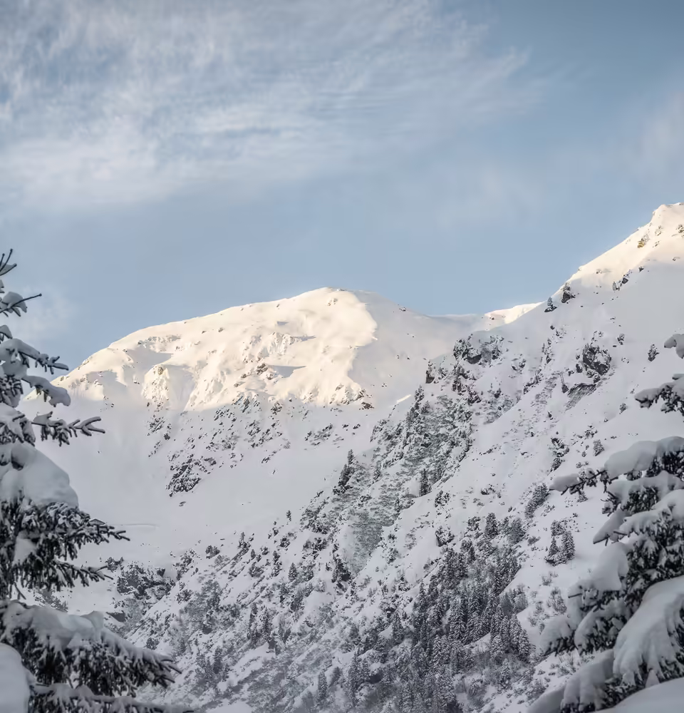 Schneebedeckte Tannen vor majestätischen verschneiten Bergen.